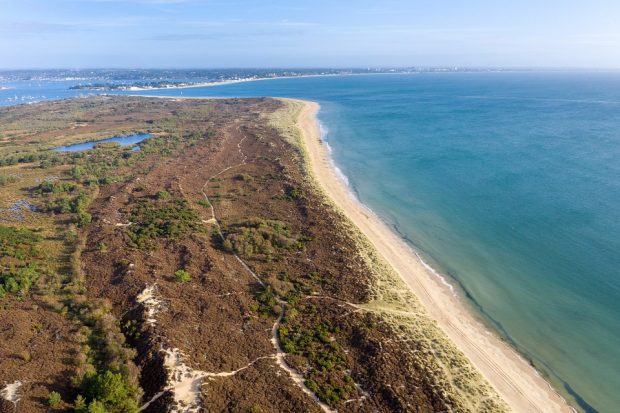 An aerial view of Studland Heath next to a sandy beach and blue water with blue water and