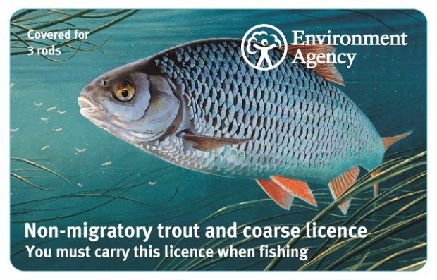 An image of one of the new fishing licences which features a drawing of a Wensum River roach.