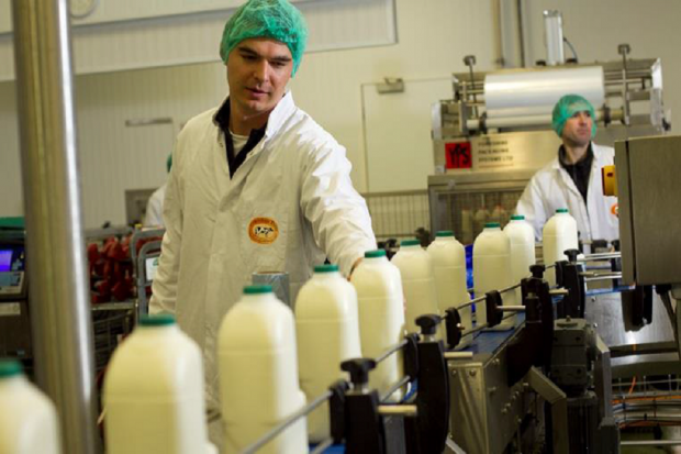 Milk processor worker supervising the production of bottles of milk for sale