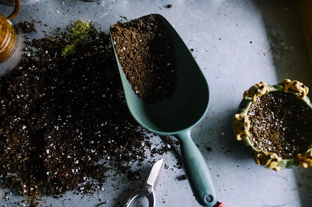 A gardening trowel and scissors on a surface with some soil in the trowel and on the surface. There is a small plant pot to the right of the trowel