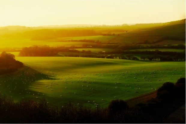 An image of countryside with rolling green hills at sunset.