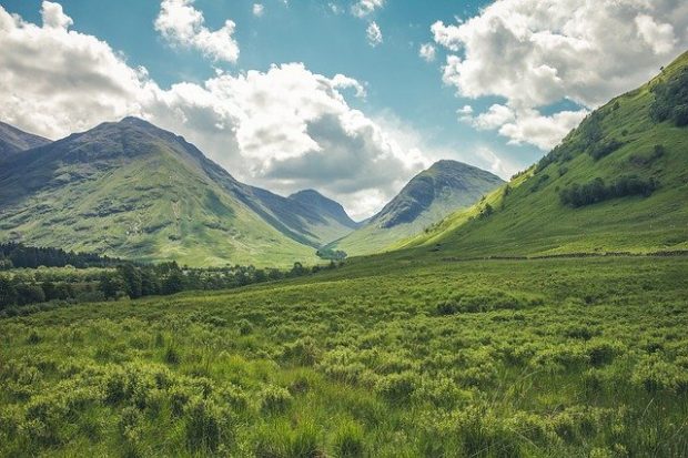 open green fields with mountains in the background