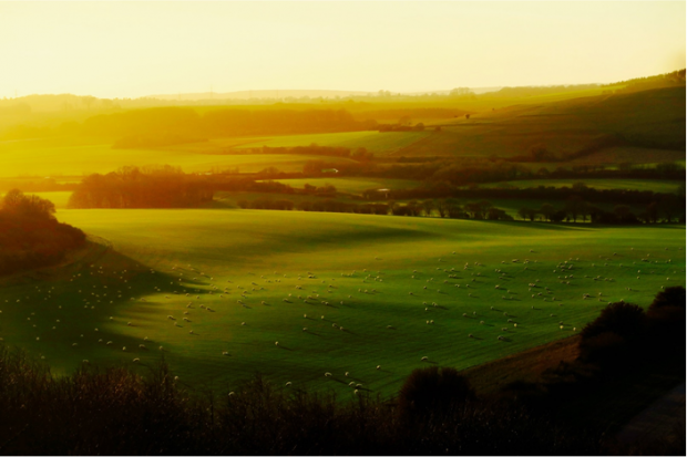 Luscious green rolling hills on a sunny day