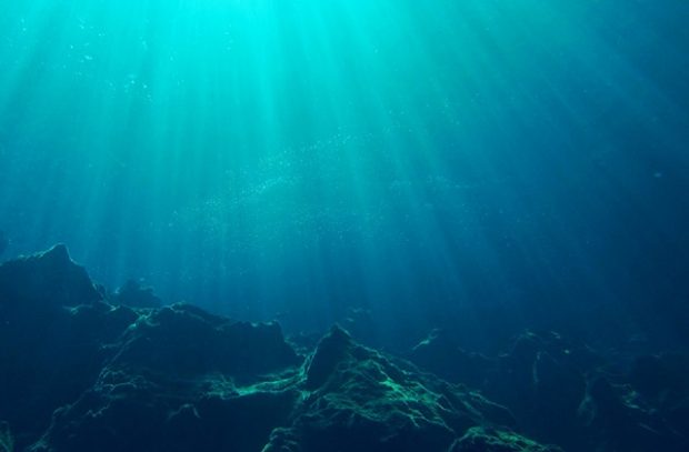 An underwater shot of a seabed