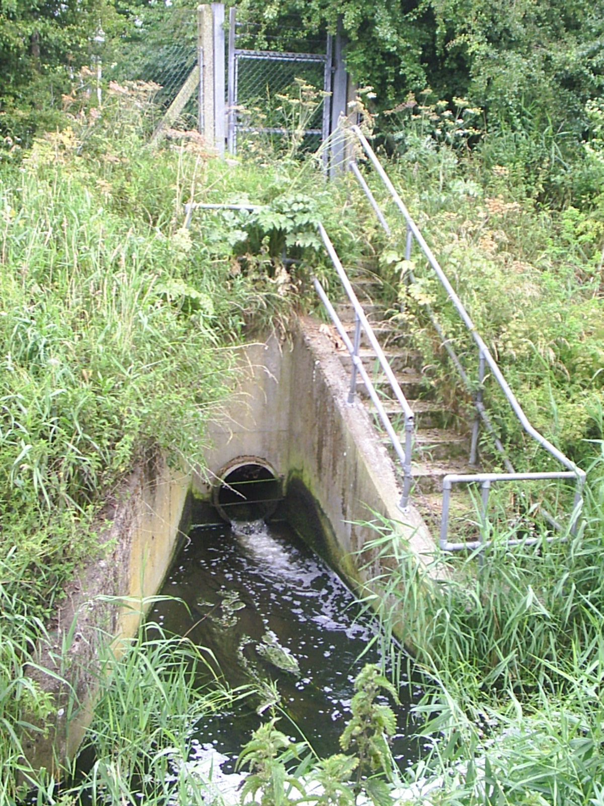 Combined Sewage Overflows Further Coverage Defra In The Media 