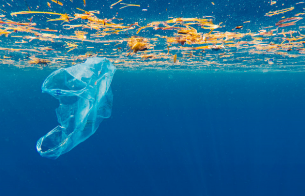 An image of a plastic carrier bag floating in the ocean.