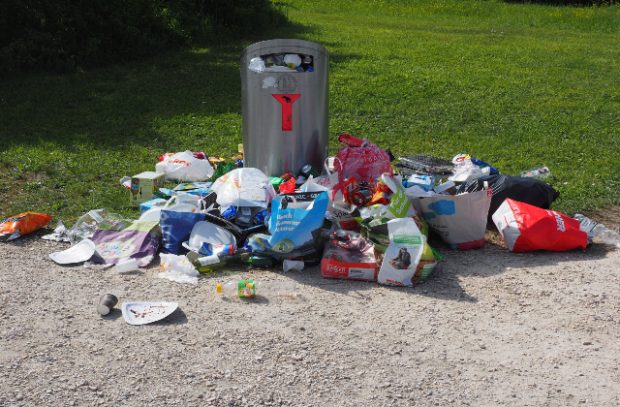 Litter strewn next to a bin in a green, grassy area