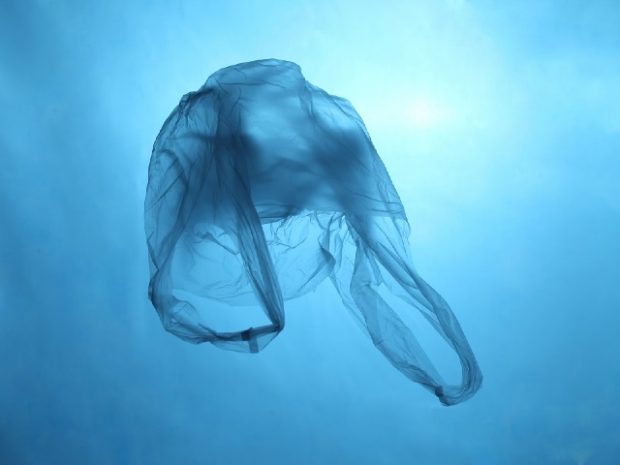 A plastic bag floating under water.