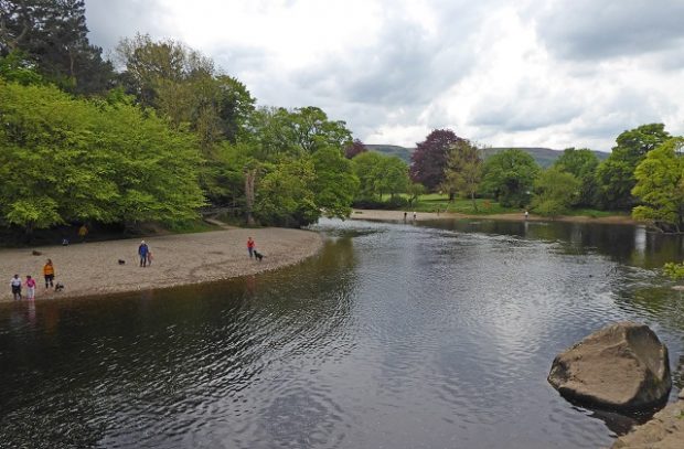 Picture of the River Wharfe with people paddling in the water and walking dogs along the side