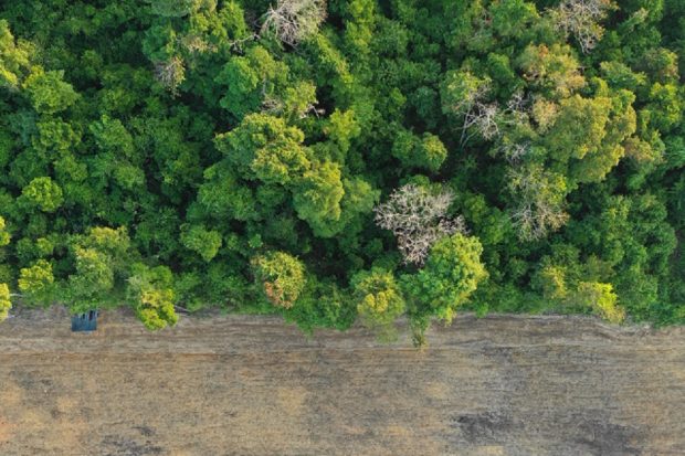 An aerial view of a gravel path next to a forest of green trees