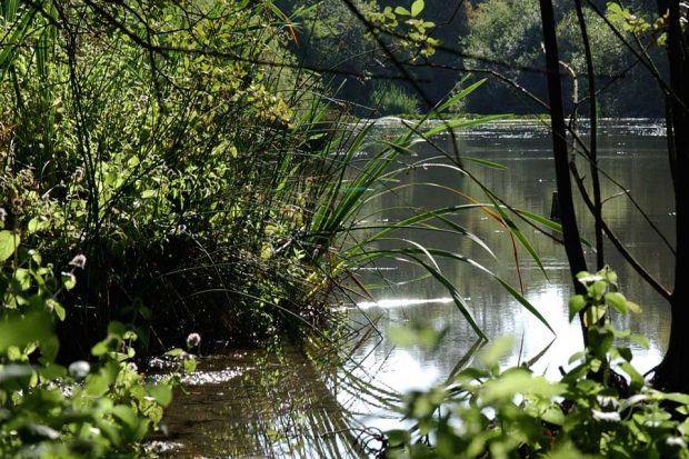 An image of a lake