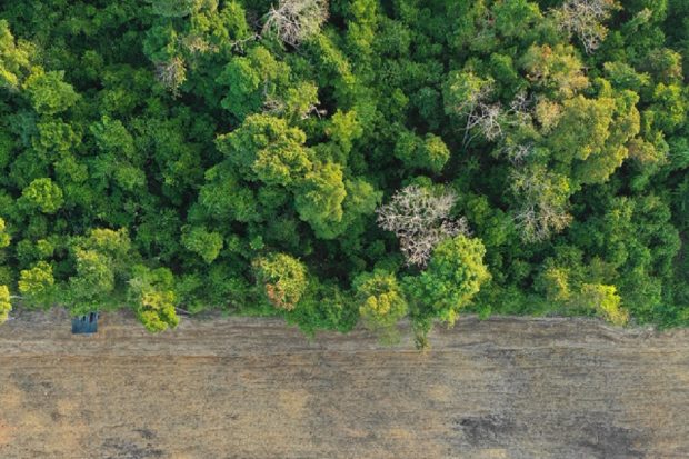 An aerial image of deforestation