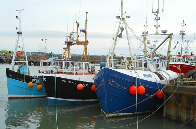 Three fishing vessels moored in a port