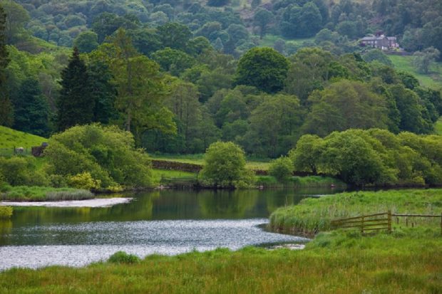 A wide river is in view in a valley in the background, a drystone wall is behind the river, and large, green trees are prominent in the scene.