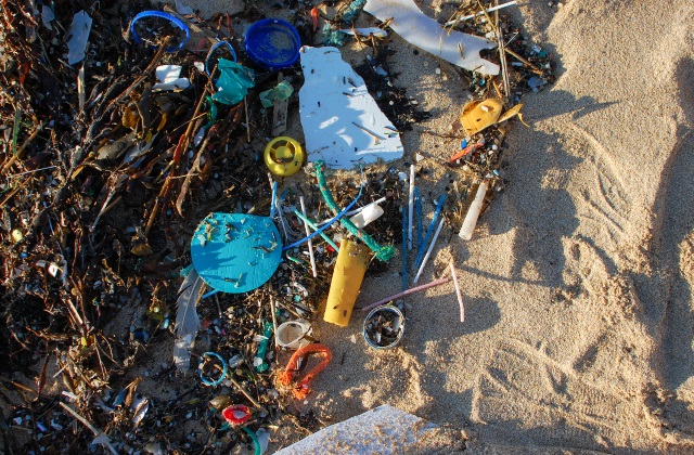 A number of discarded cotton buds and other pieces of litter lying on a beach