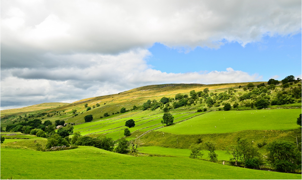 An image of rolling green hills