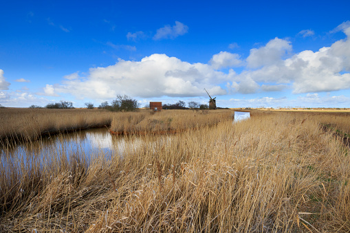 Brograve mill windpump