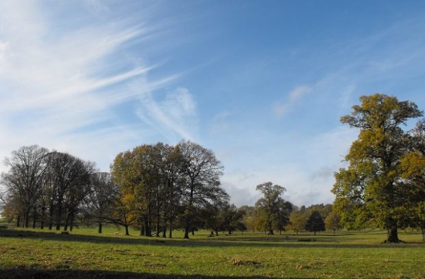 Image of Fawsley Park, Northamptonshire