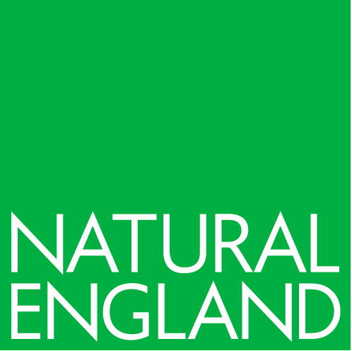 Green Natural England logo