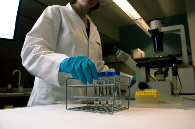 Photograph of scientist looking at test tubes in a lab