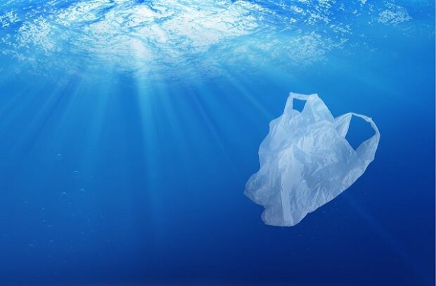 A plastic bag floating in water