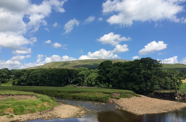 Image of a river with trees and blue sky behind.