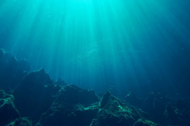 Sun rays penetrating water column in the sea