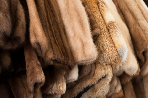 A photo of fur coats on a clothes rail