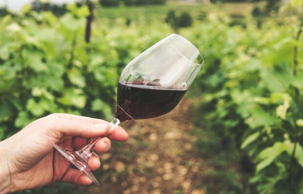 Image of a red wine glass in a vineyard