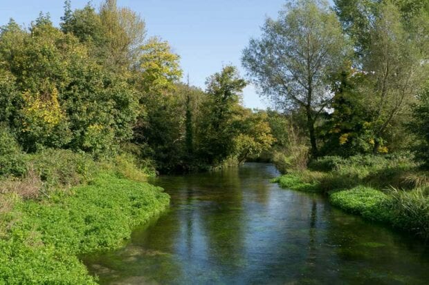 River through green banks and trees