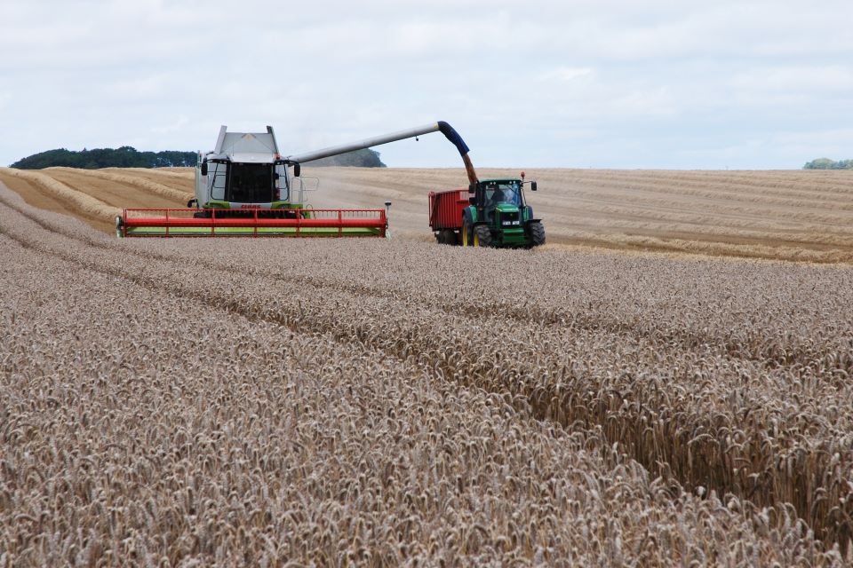 Combine harvester at work in a field