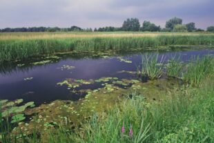 Old Bedford river