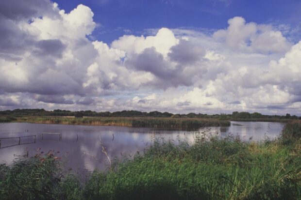 The River Meon (a river running through the countryside)