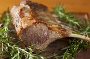 Image of lamb