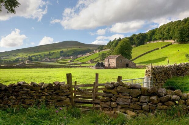 Green hills in the English countryside