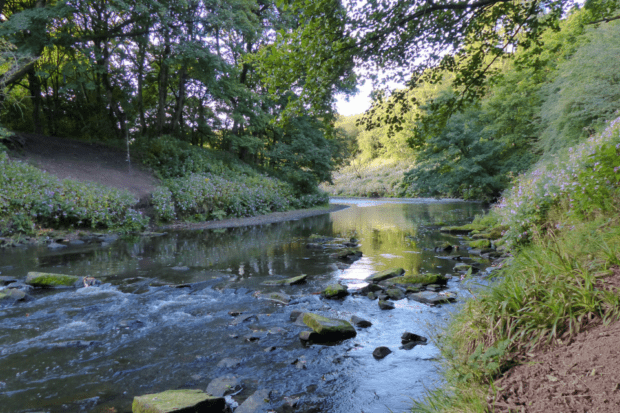 The River Irwell