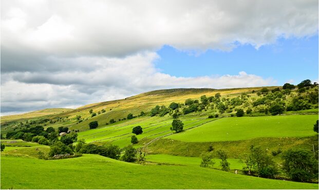 Rolling green hills, trees and blue sky