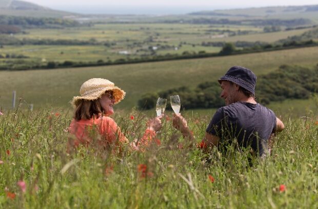 Two people drinking Sussex wine in a field.