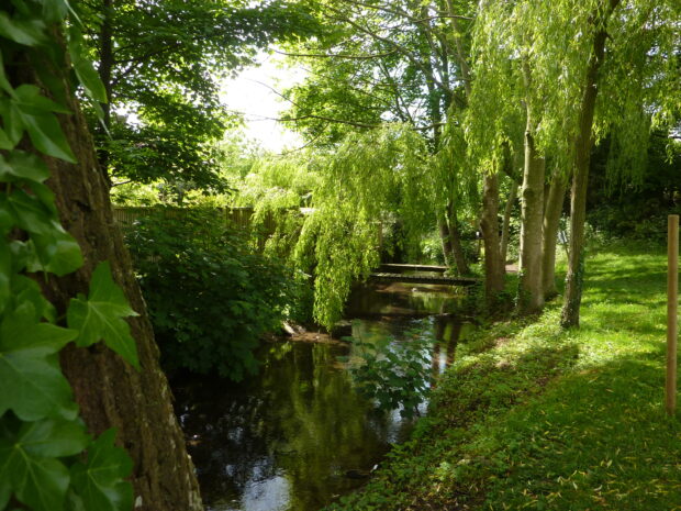 A river and stream