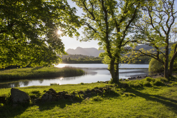 River view in sunshine