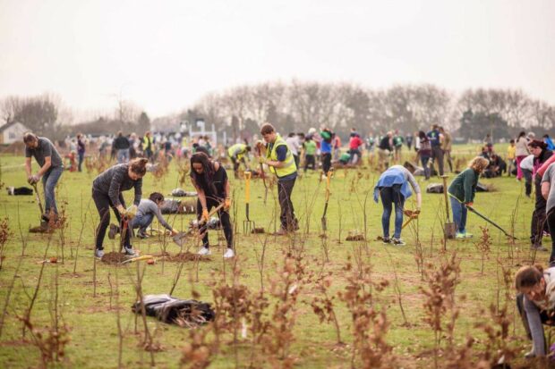 People planting trees