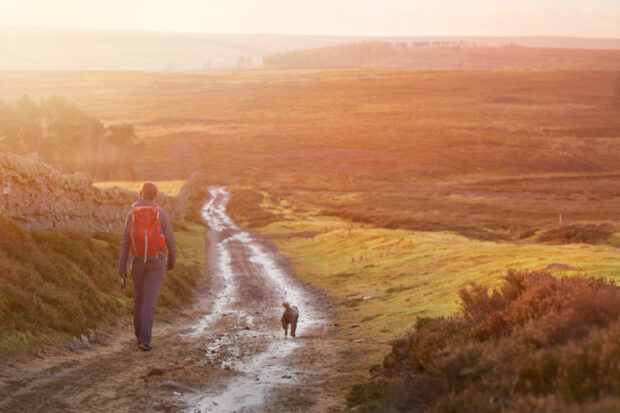 A hiker and their dog walking