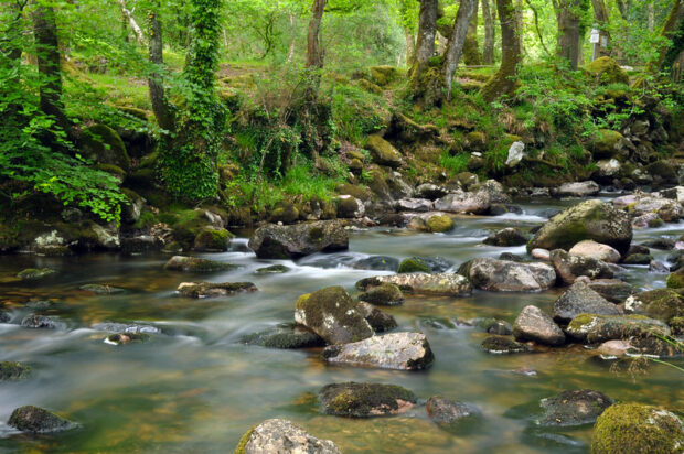 River Plym in Devon