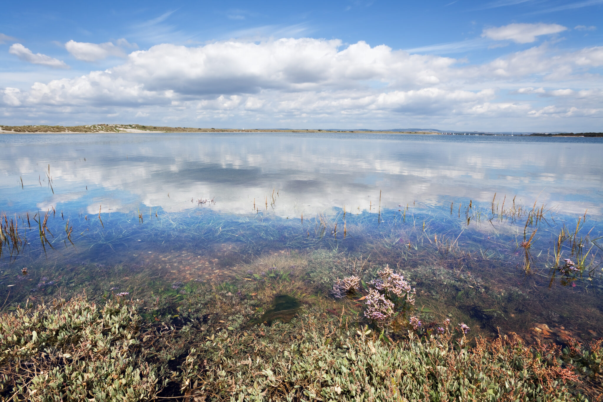 Coverage of £180m of investment fasttracked to prevent sewage spills