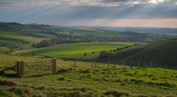 rolling hills